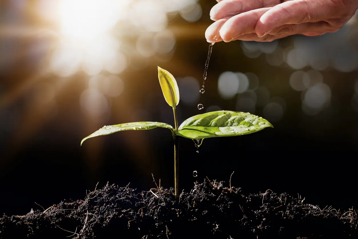 Sustainable Actions measured by Carbon Wallet AI
