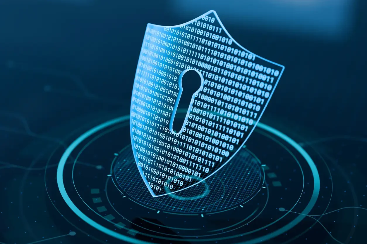Trust Safety and Privacy